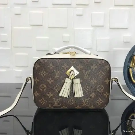 Bags LV 19T1L0068 0802
